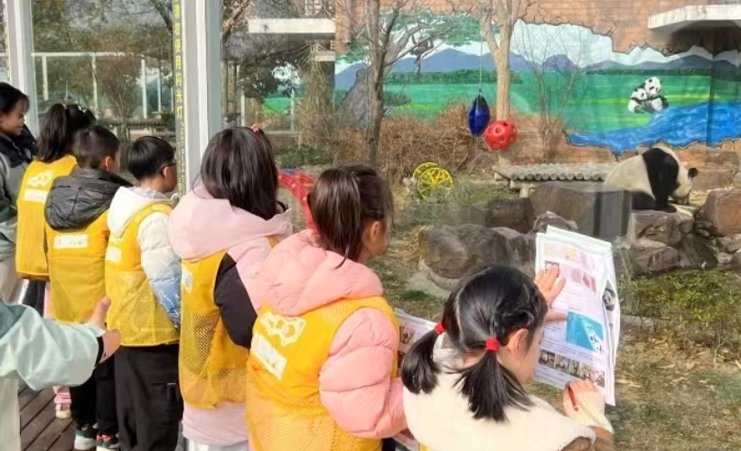 熊猫饲养员半日营- Ag亚洲集团